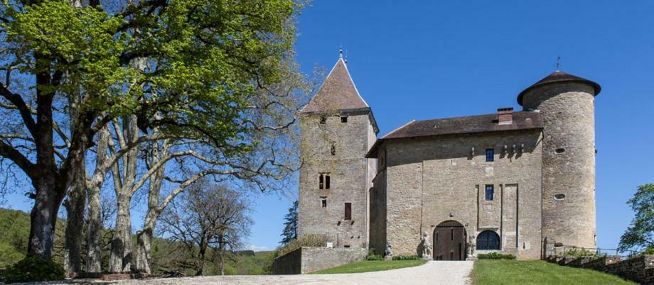 Chateau De Marigna Hotel Kültér fotó