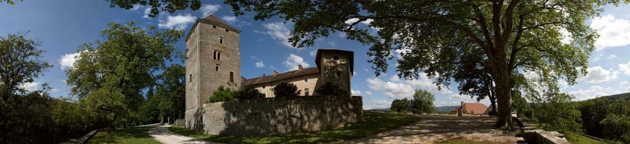 Chateau De Marigna Hotel Kültér fotó
